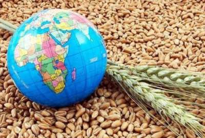 گرسنگی جهانی؛ ابعاد پنهان جنگ تحمیلی آمریکا علیه ایران + اینفوگرافیک